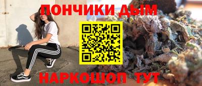 шишки Боровичи
