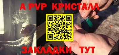 шишки Боровичи
